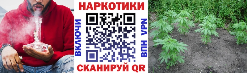 A-PVP Куйбышев