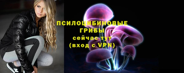 амф Белокуриха