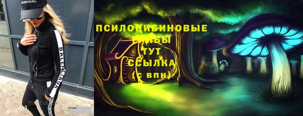 амф Белокуриха
