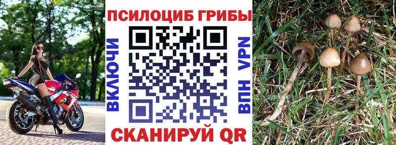 Галлюциногенные грибы ЛСД  Куйбышев 